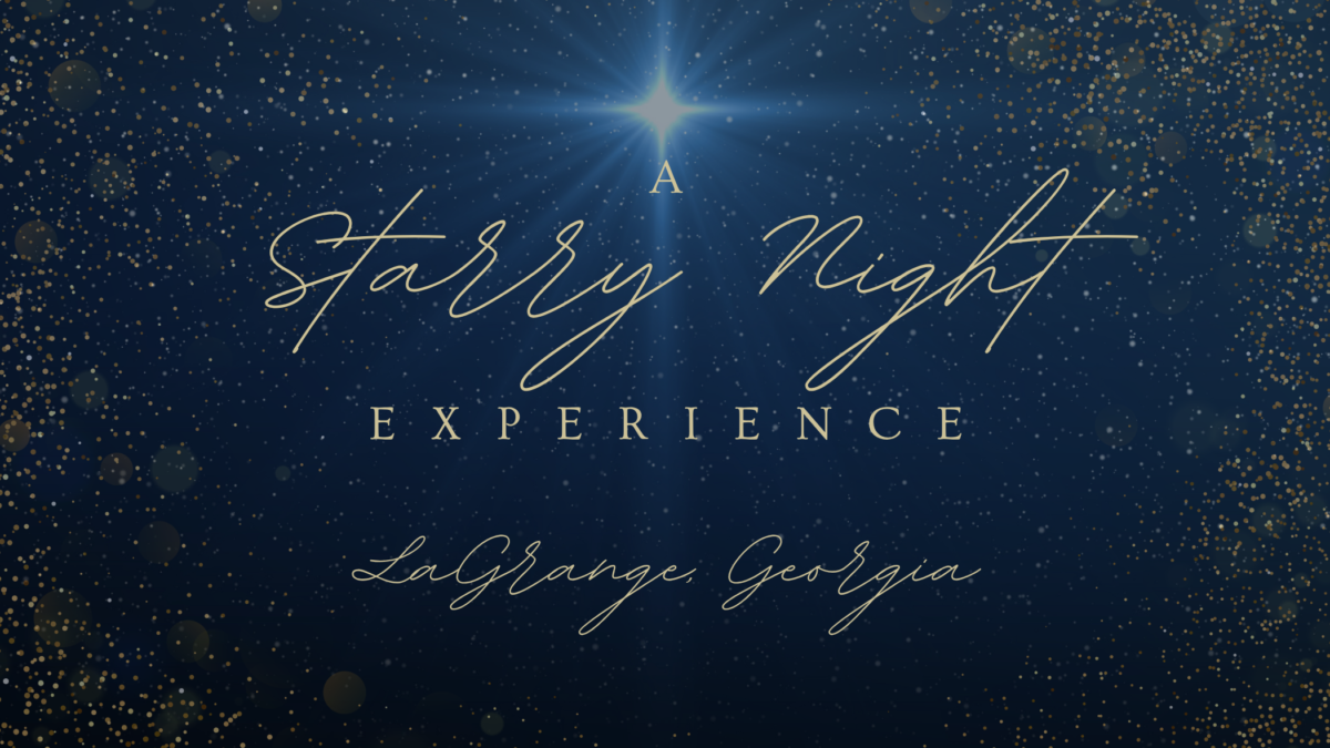 Starry Night Experience Starry Night Experience